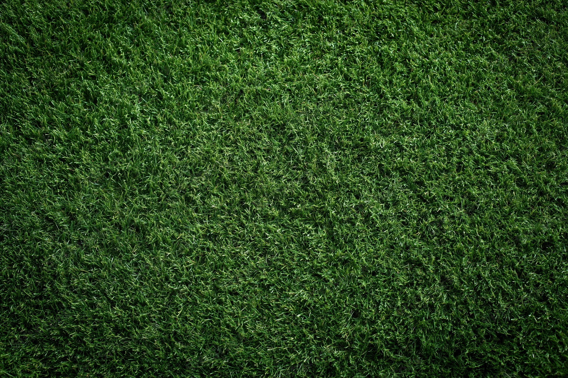 Dense artificial turf grass viewed from above filling the frame