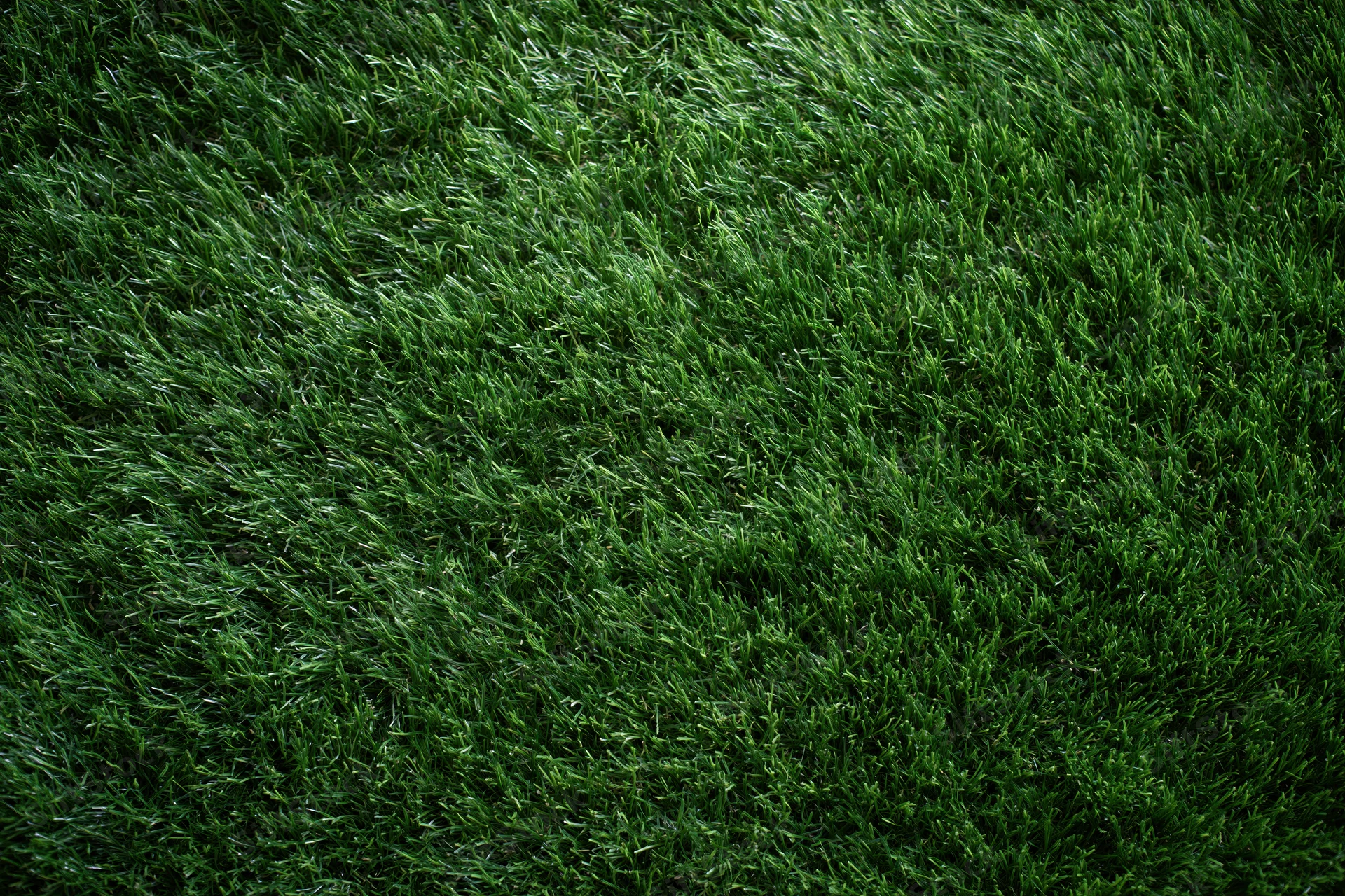 Dense artificial turf grass filling the frame in an overhead closeup view