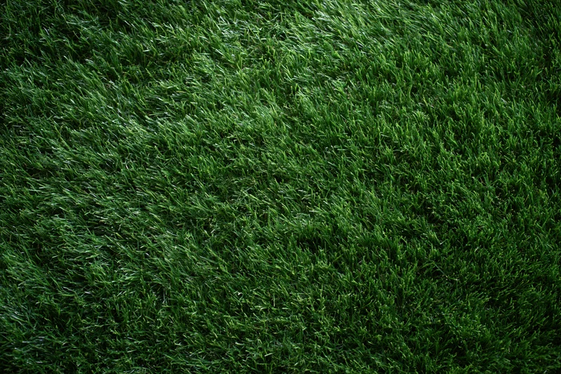 Dense artificial turf grass filling the frame in an overhead closeup view