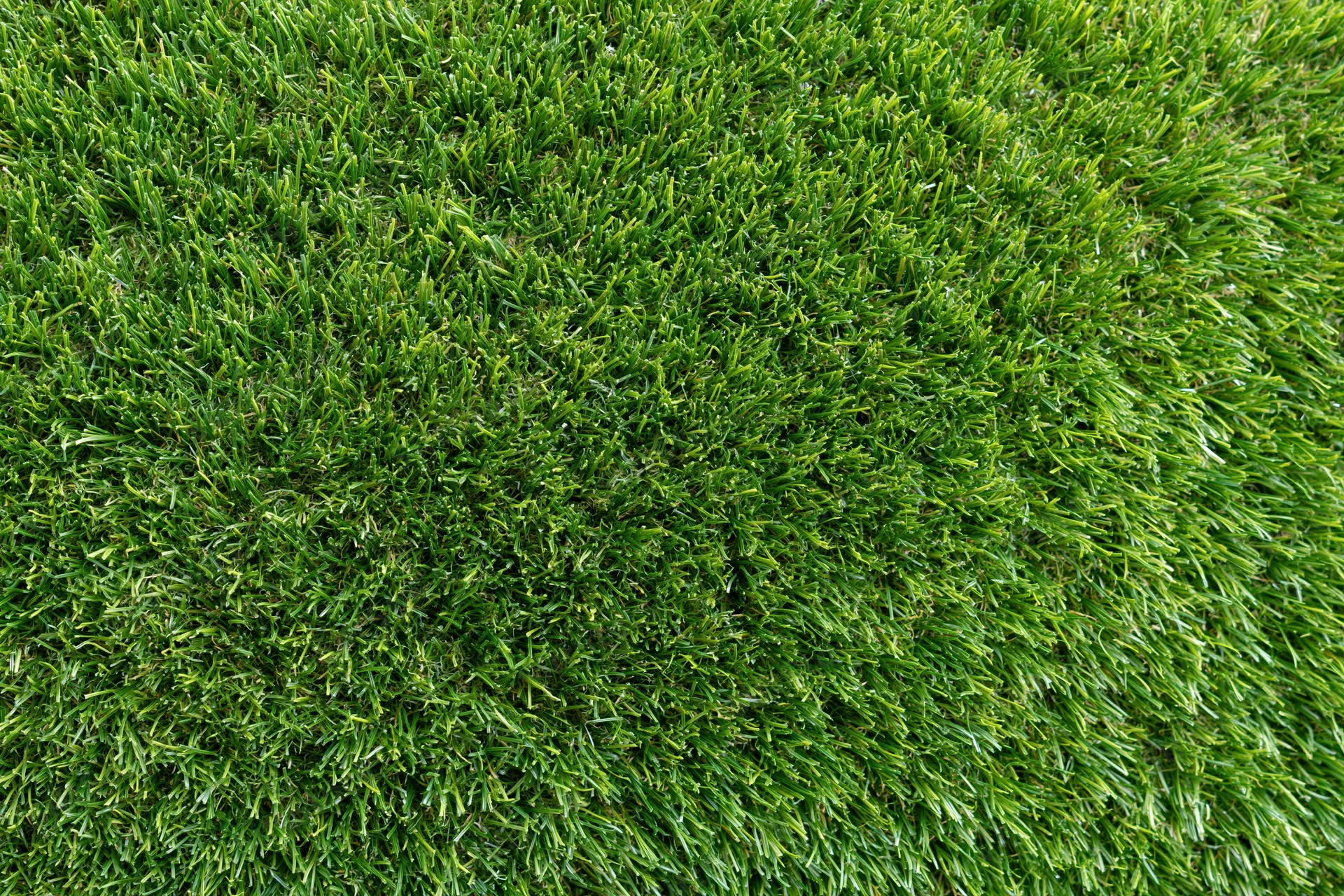 Dense short-cut artificial turf viewed from above showing uniform green blades as a ground surface