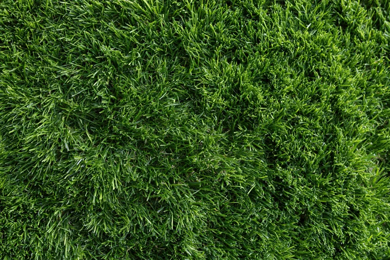 Close-up overhead view of freshly mowed green grass covering a lawn surface