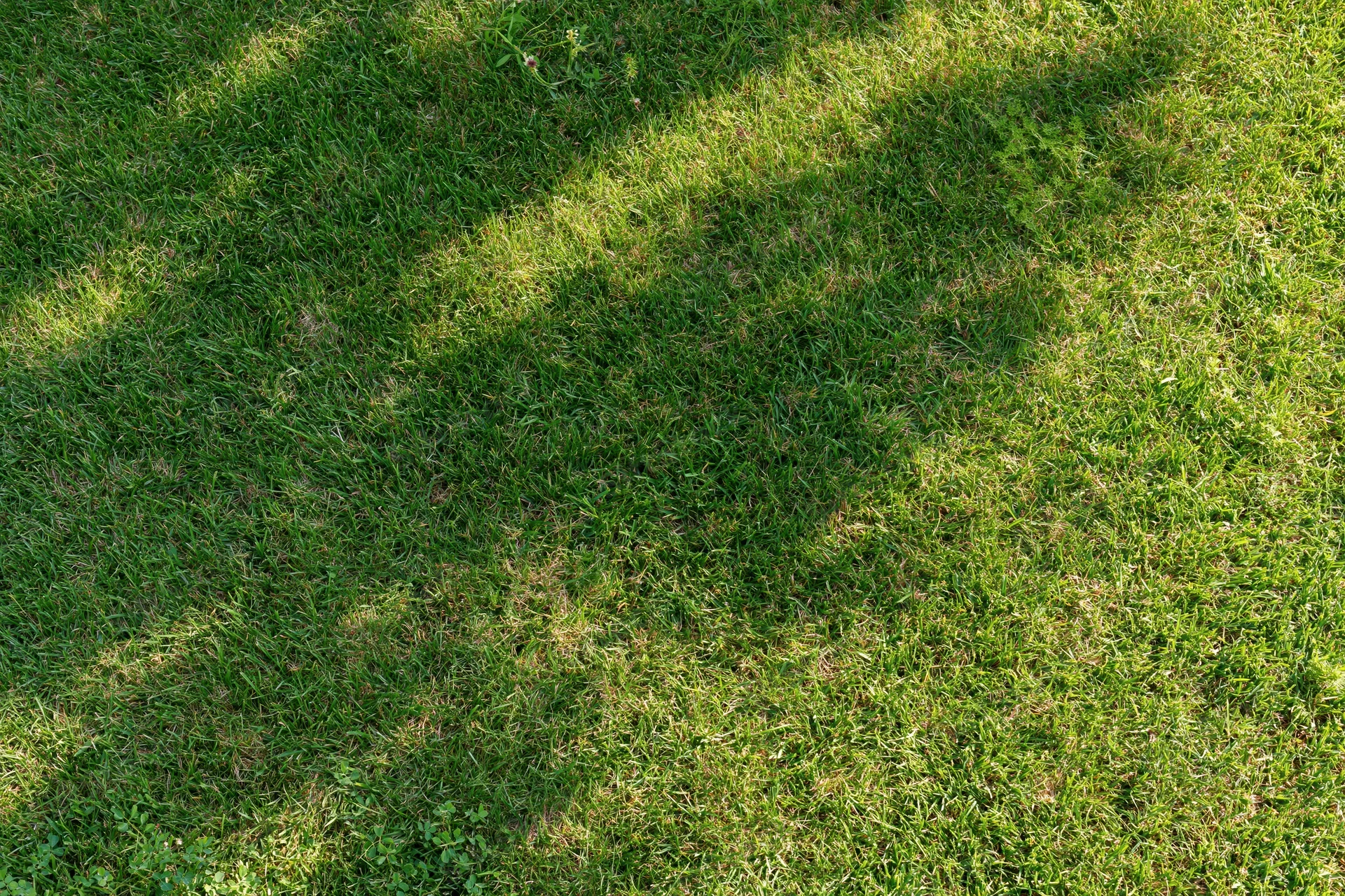 Freshly mowed grass lawn viewed from above filling the frame