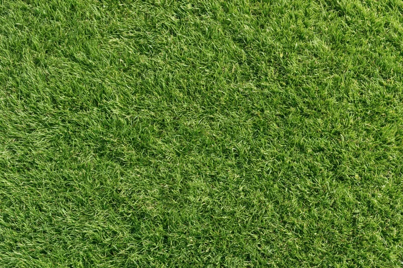 Closely mowed green grass lawn filling the frame