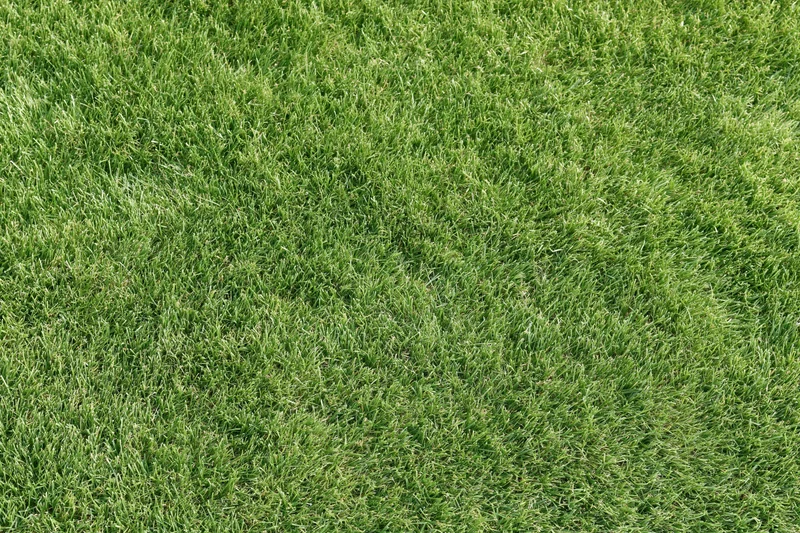 Closely mowed green grass lawn filling the frame