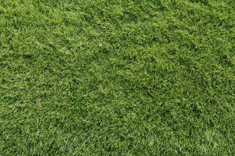 Closely mowed green grass lawn filling the frame