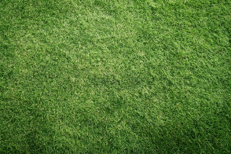Closely mowed green grass lawn viewed from directly above filling the frame
