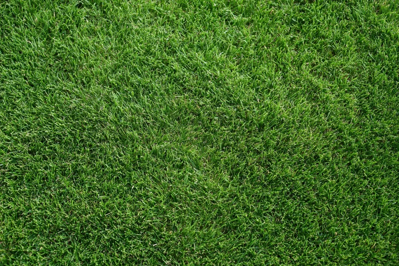 Closely mowed green grass lawn viewed from directly above filling the frame