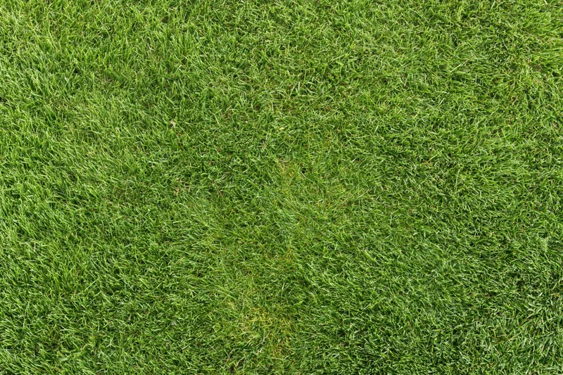 Closely mowed green grass lawn viewed from directly above filling the frame