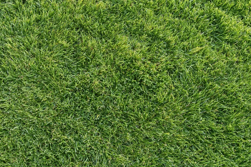 Closely mowed green grass lawn viewed from directly above filling the frame