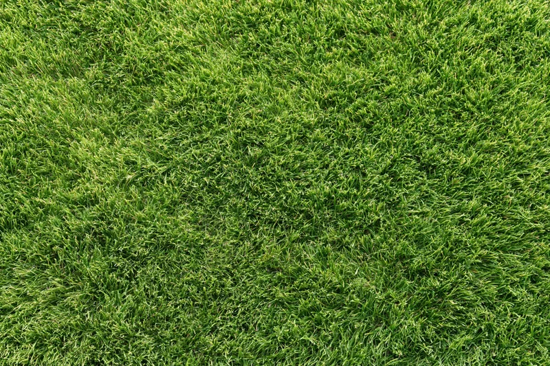 Closely mowed green grass lawn viewed from directly above filling the frame