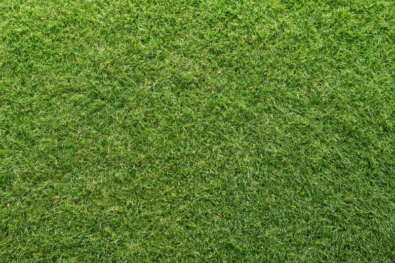 Closely mowed green grass surface filling the entire frame