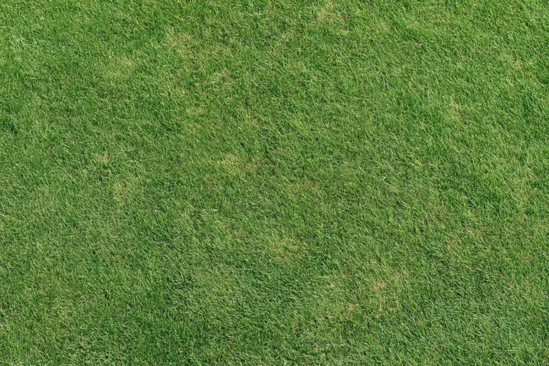 Closely mowed green grass surface filling the entire frame