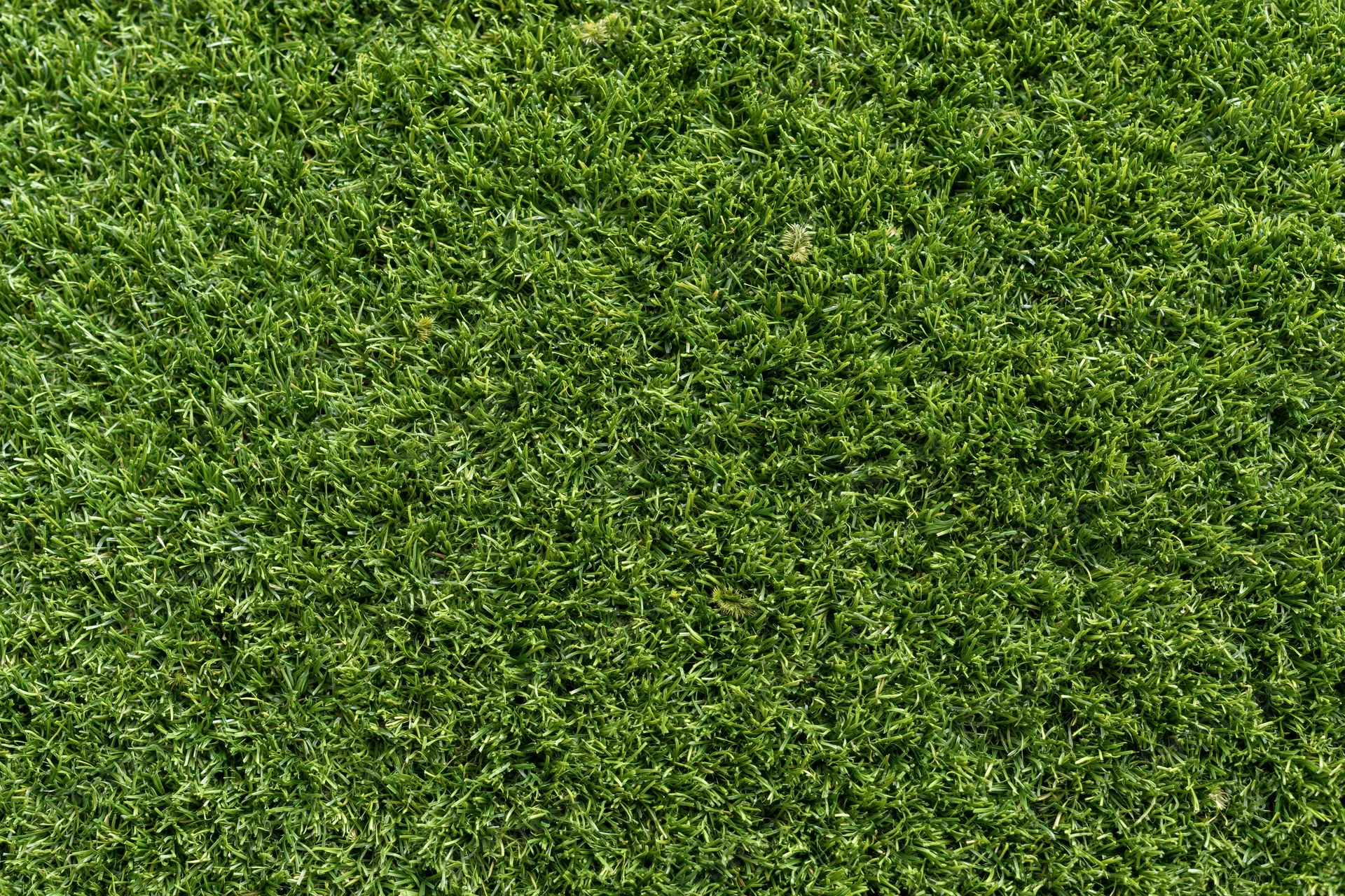 Closely mown artificial turf surface filling the frame
