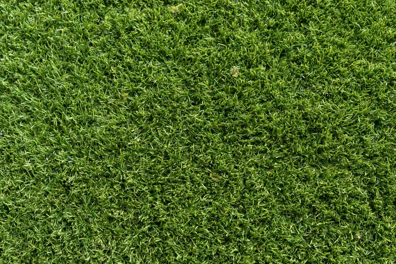 Closely mown artificial turf surface filling the frame