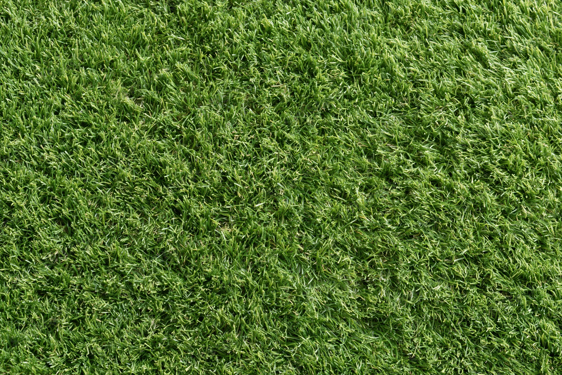 Closely mown artificial turf surface filling the frame