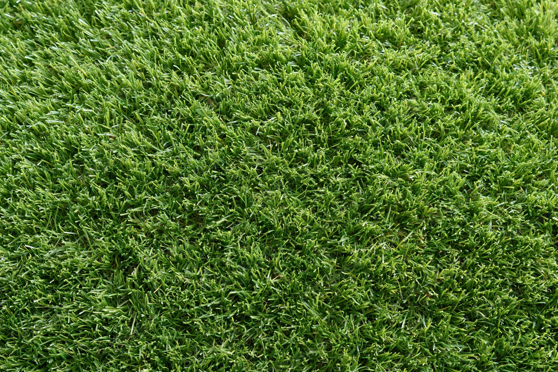 Closely mown artificial turf surface filling the frame