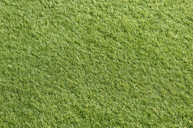 Closely mown grass of a golf course putting green filling the frame