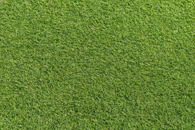 Closely mown grass of a golf course putting green filling the frame