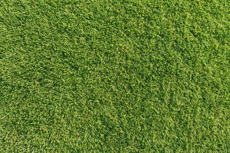 Closely mown grass of a golf course putting green viewed from directly above
