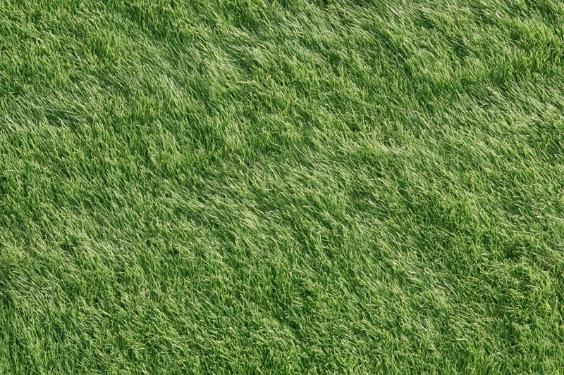 Closely mown green grass lawn viewed directly overhead in flat top-down perspective