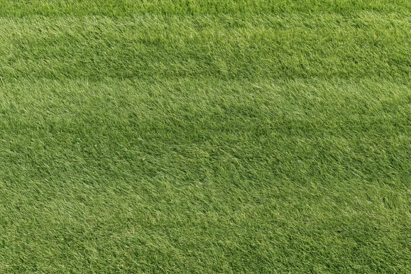 Closely mown green grass lawn viewed directly overhead in flat top-down perspective