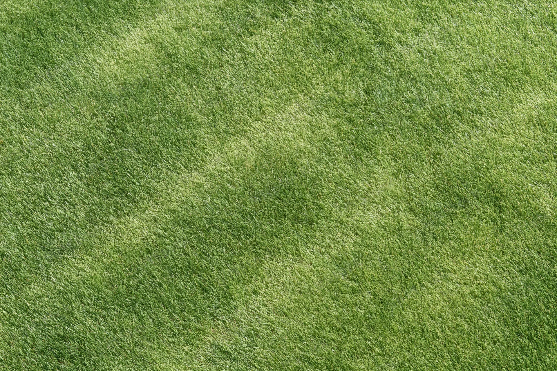 Closely mown green grass lawn viewed directly overhead from above