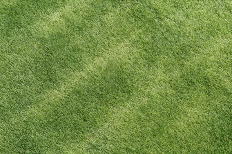 Closely mown green grass lawn viewed directly overhead from above