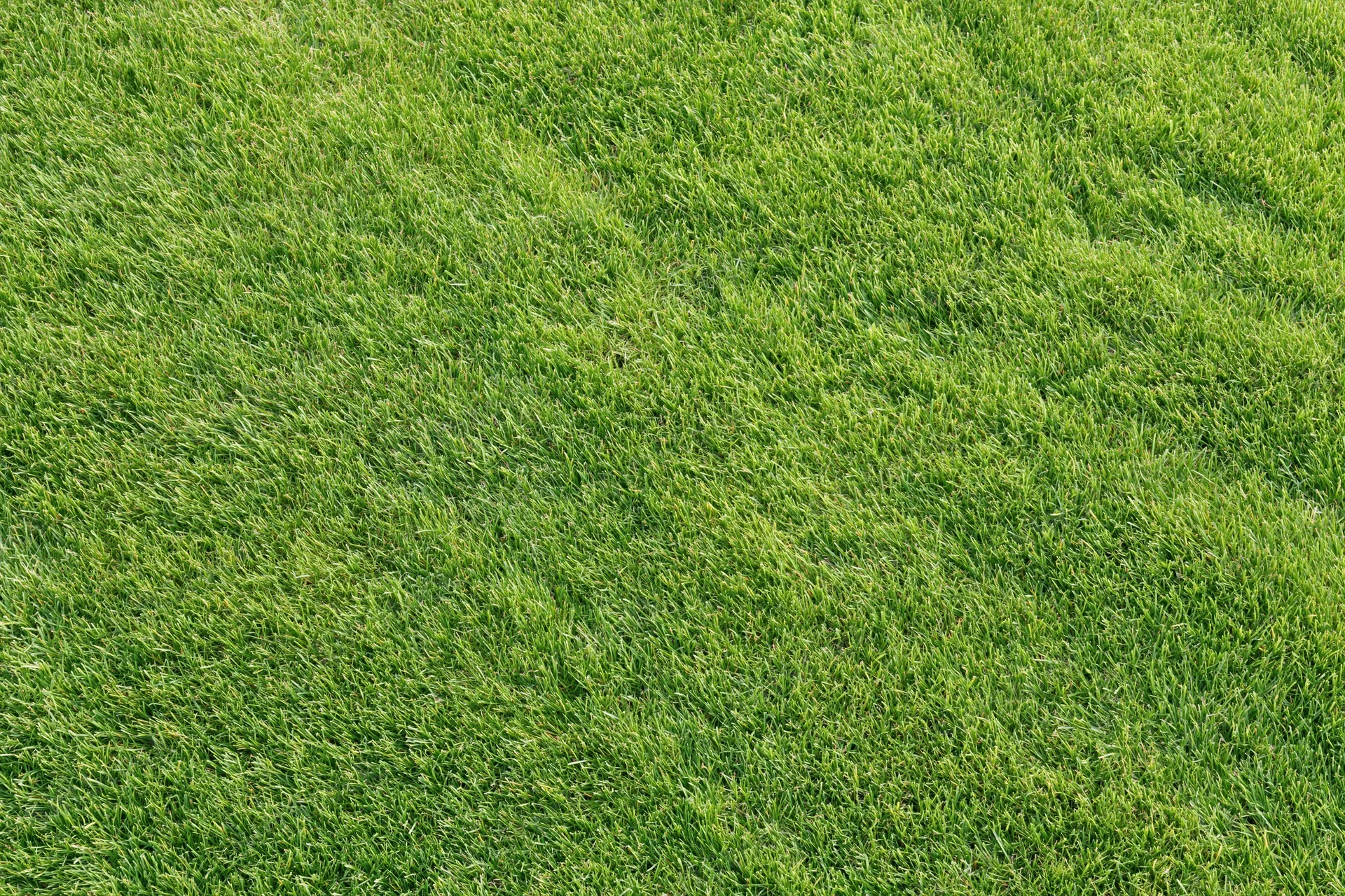 Closely mown green grass lawn viewed from directly overhead in a flat top-down perspective
