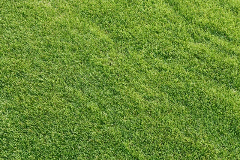 Closely mown green grass lawn viewed from directly overhead in a flat top-down perspective