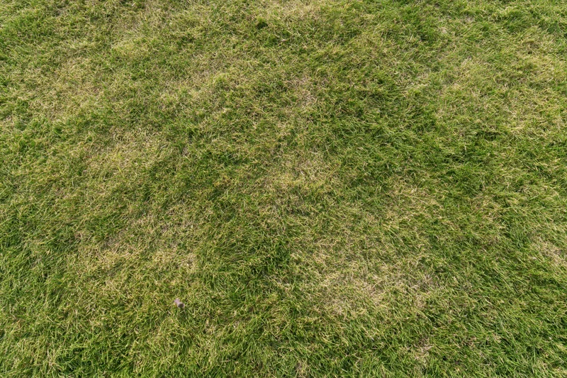Closely mown green grass lawn viewed from directly overhead in a flat top-down perspective