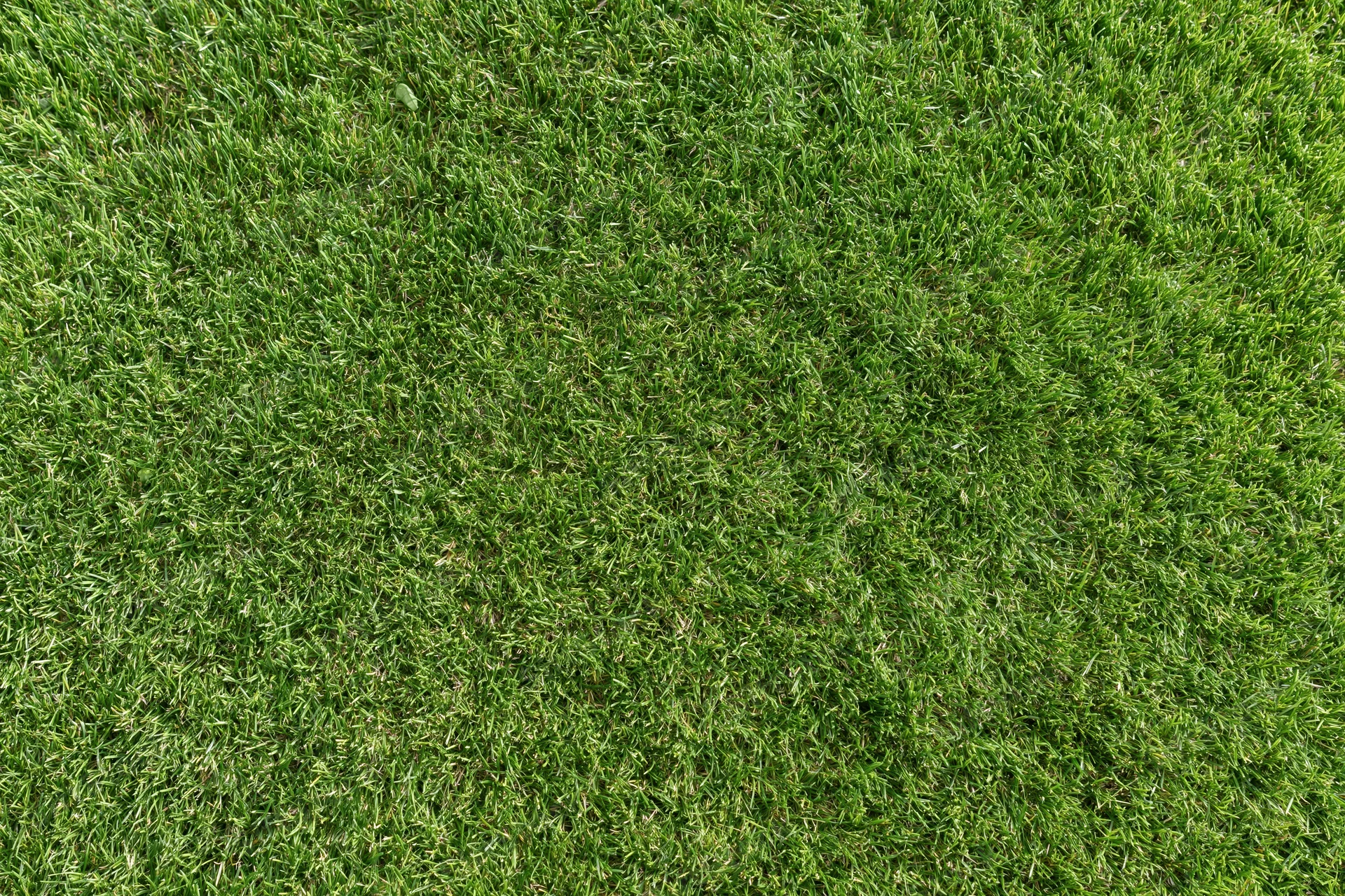 Closely mown grass surface viewed from directly above, forming a uniform green texture across the frame