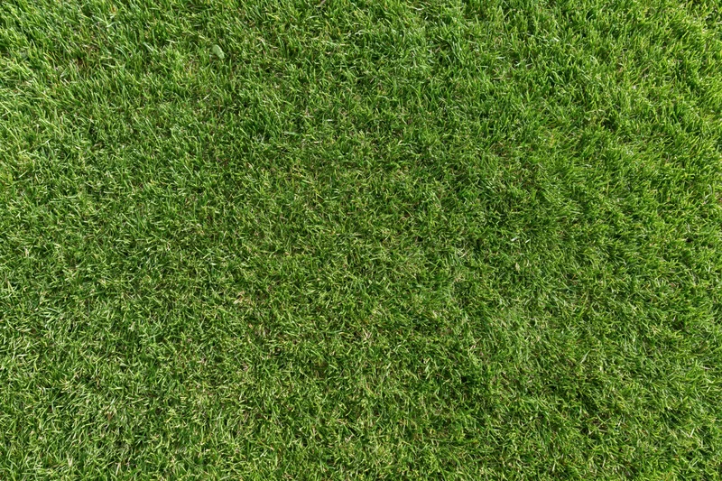 Closely mown grass surface viewed from directly above, forming a uniform green texture across the frame