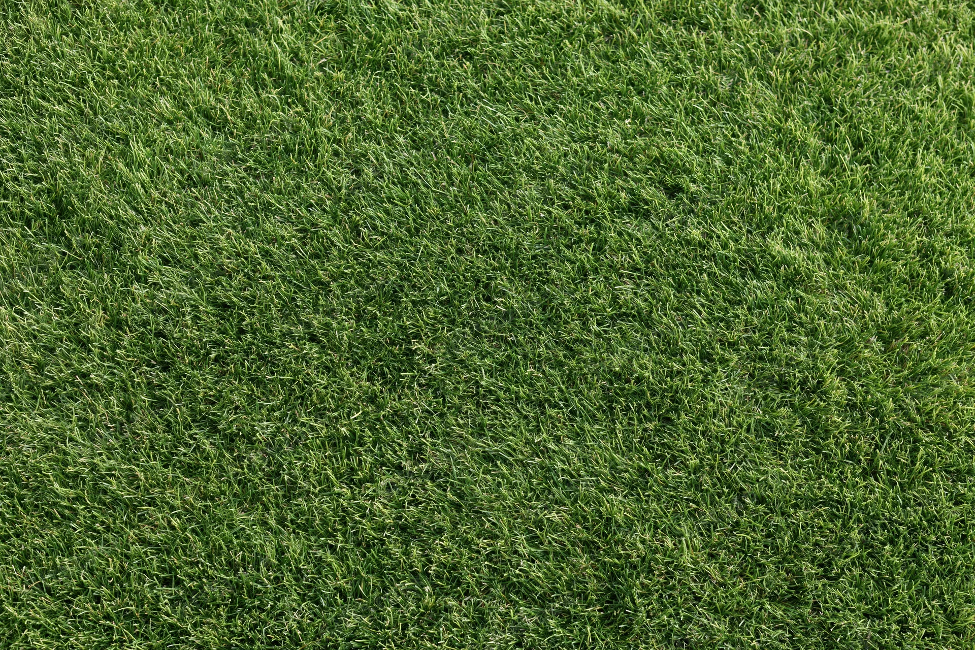 Closely mown grass surface viewed from directly above in a uniform green lawn texture