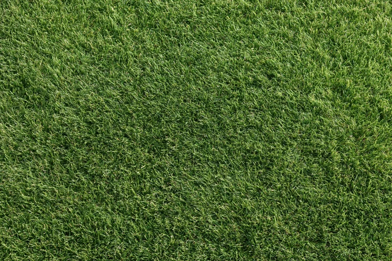 Closely mown grass surface viewed from directly above in a uniform green lawn texture