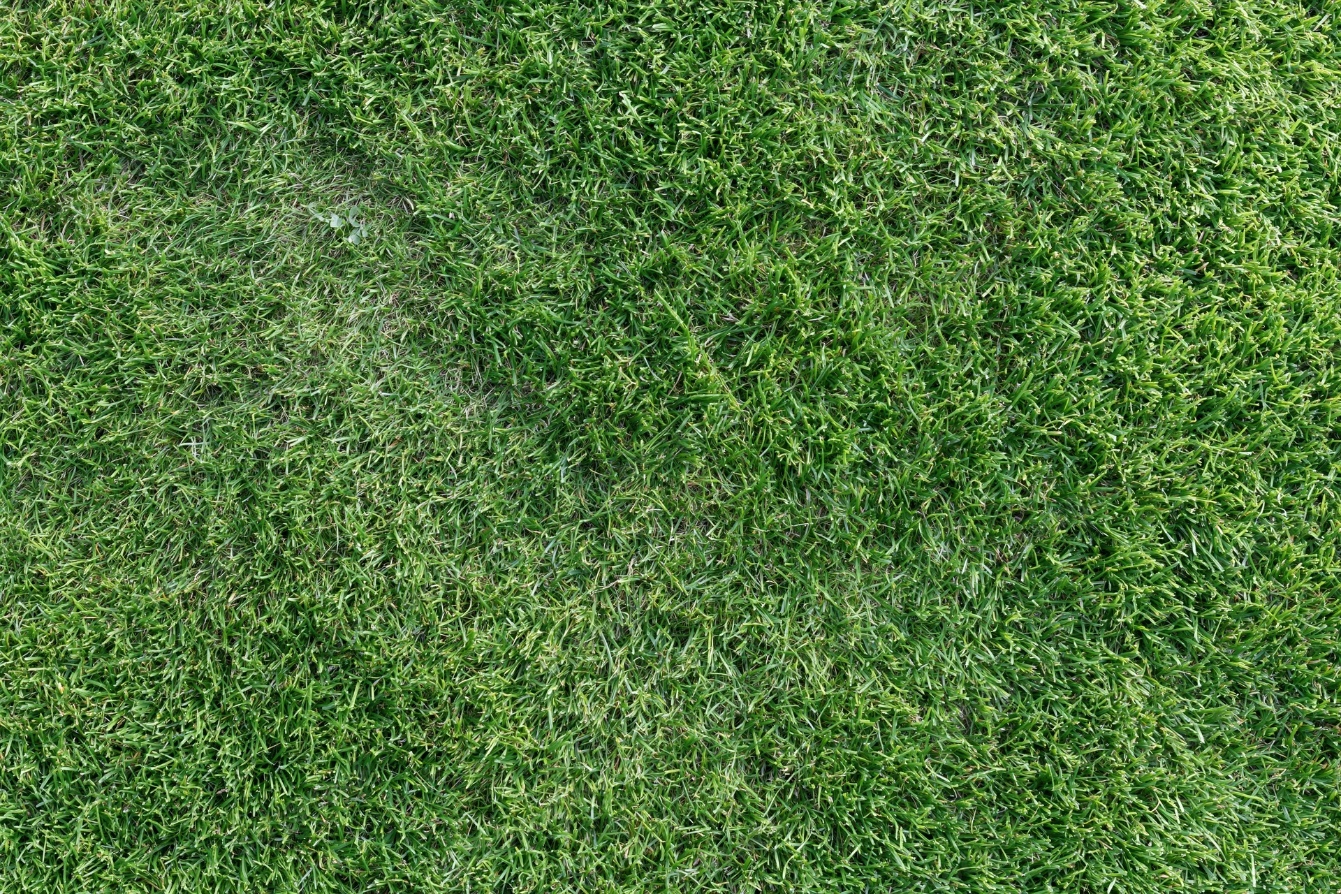 Closely mown grass surface viewed from directly above, forming a uniform green texture across the frame