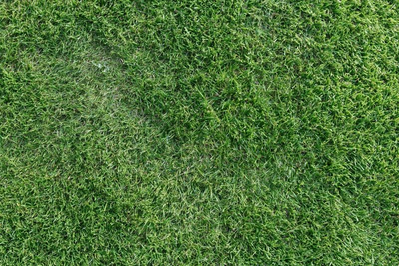 Closely mown grass surface viewed from directly above, forming a uniform green texture across the frame