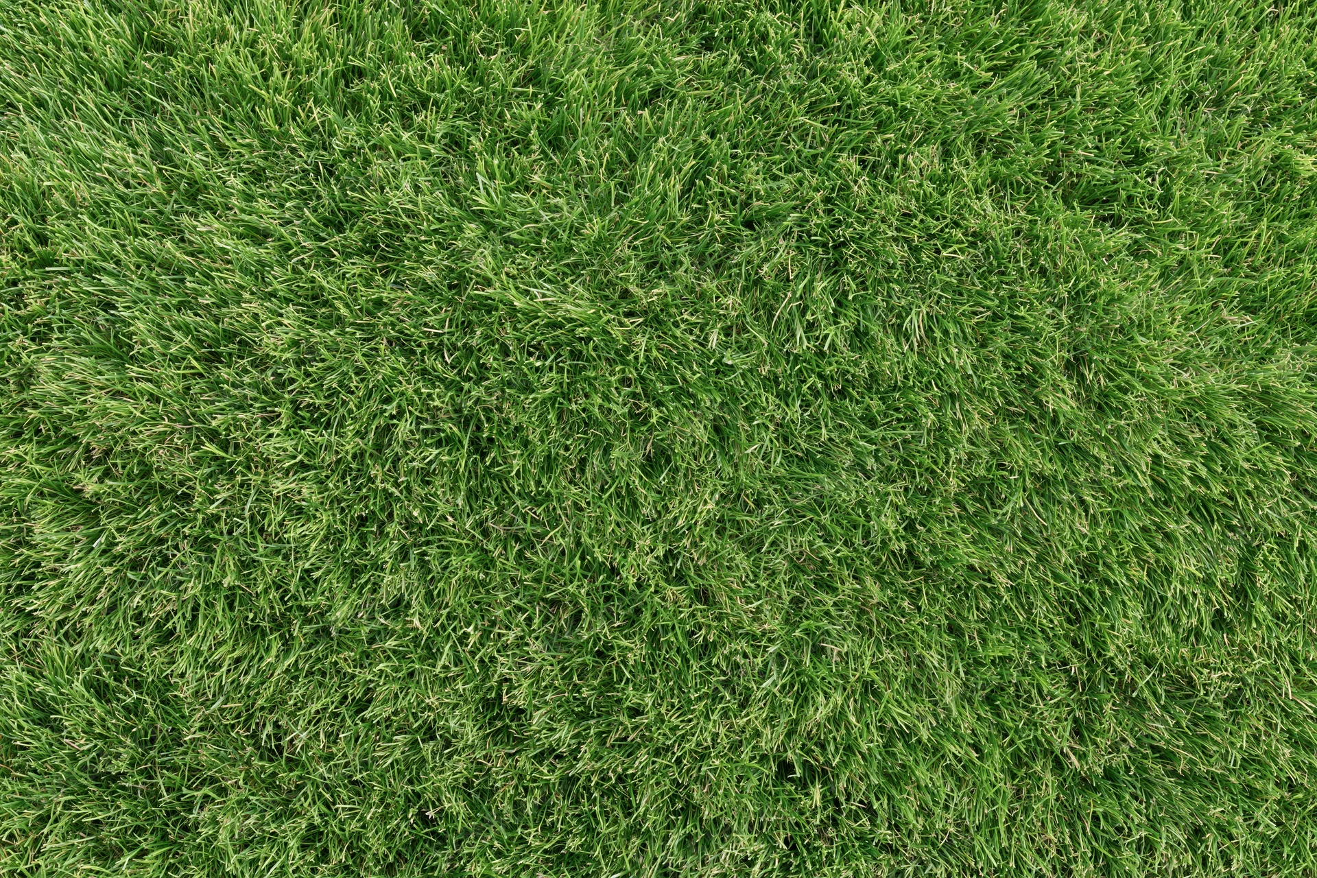 Closely mown green grass lawn filling the frame flat overhead view