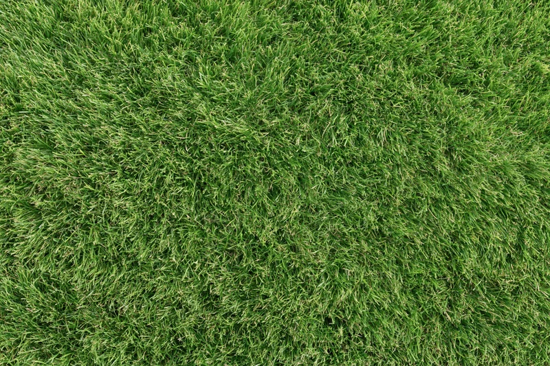 Closely mown green grass lawn filling the frame flat overhead view