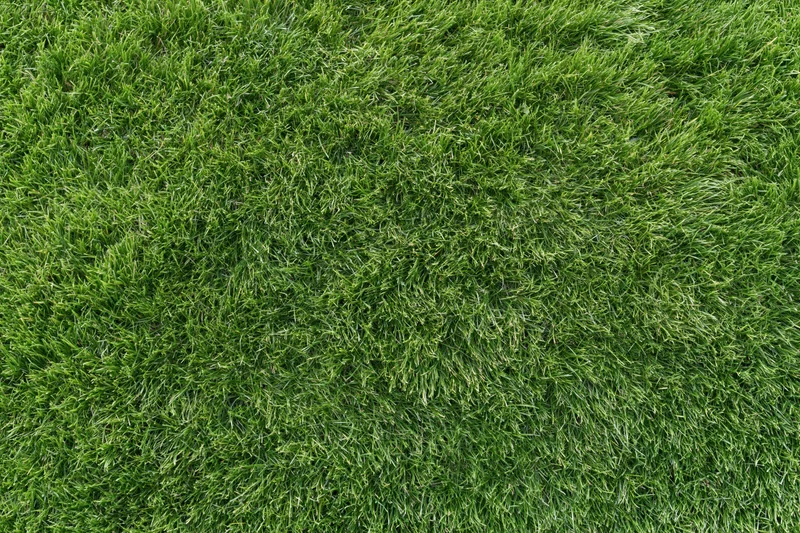 Closely mown green grass lawn filling the frame as a uniform textured surface