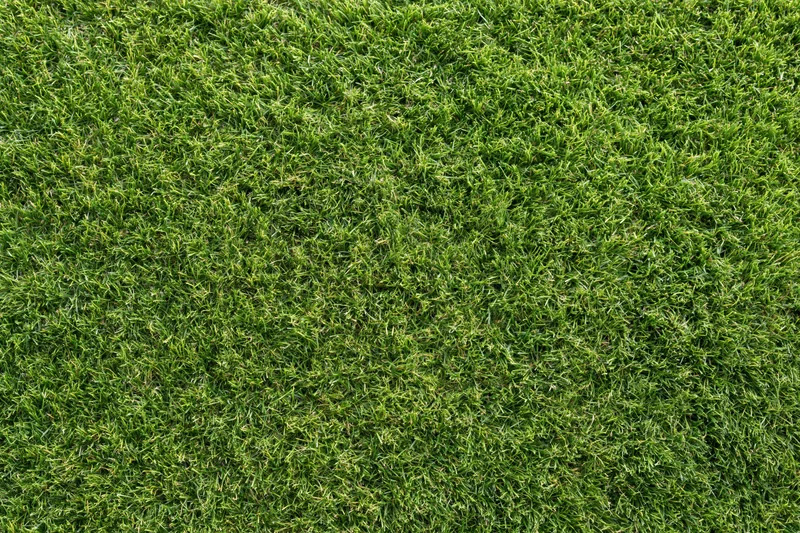 Closely mown green grass lawn filling the frame as a uniform textured surface