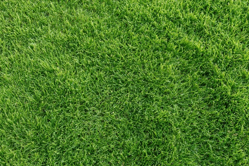 Closely mown green grass lawn filling the frame
