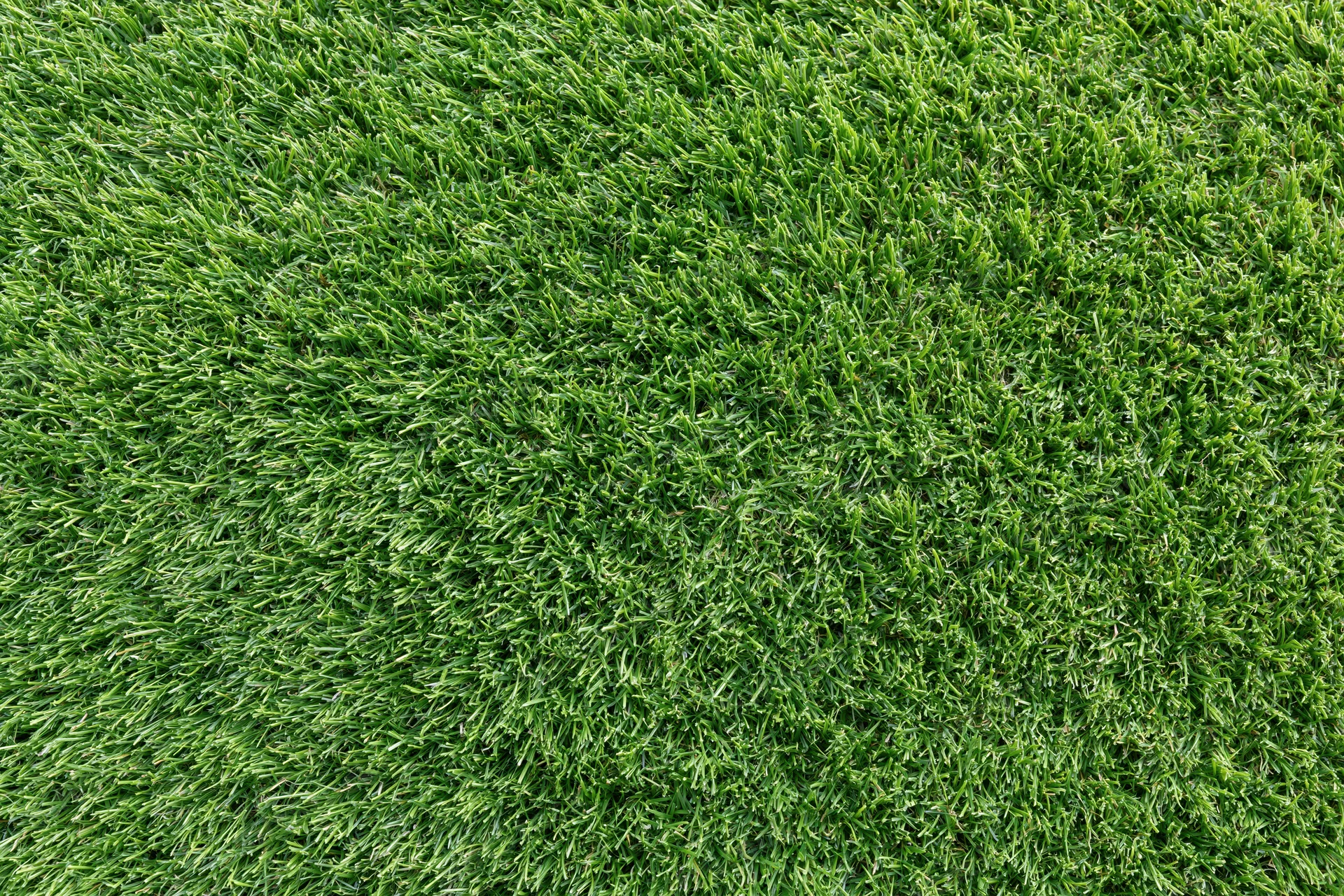 Closely mown green grass lawn filling the frame as a uniform textured surface