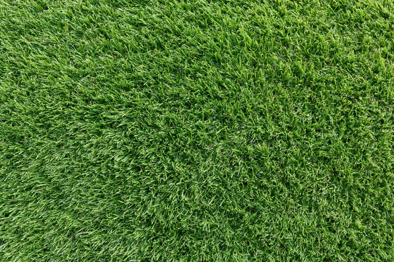 Closely mown green grass lawn filling the frame as a uniform textured surface