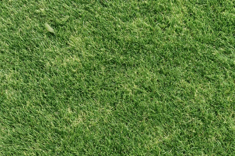 Closely mown green grass lawn viewed from directly above