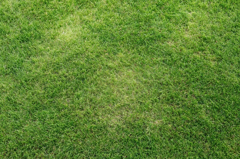 Closely mown green grass lawn viewed from directly above