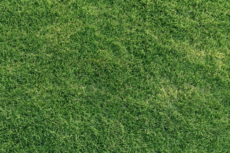 Closely mown green grass lawn viewed from directly above