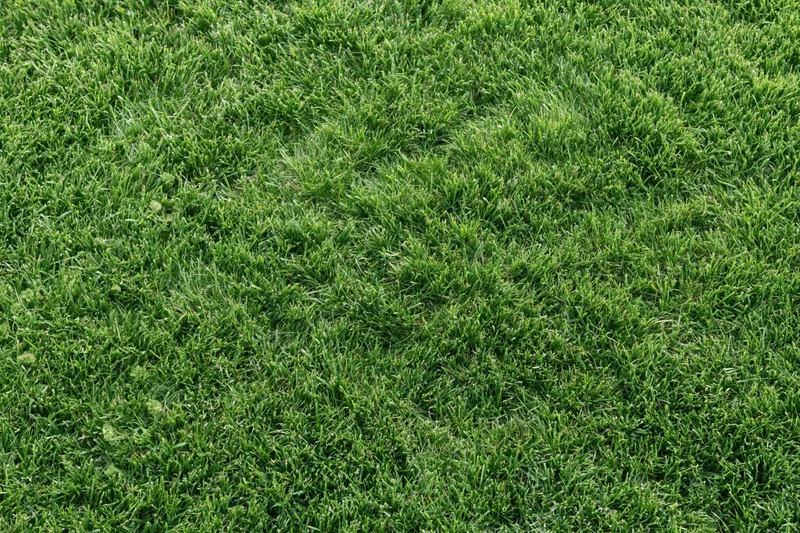 Closely mown green grass lawn viewed from directly above filling the frame