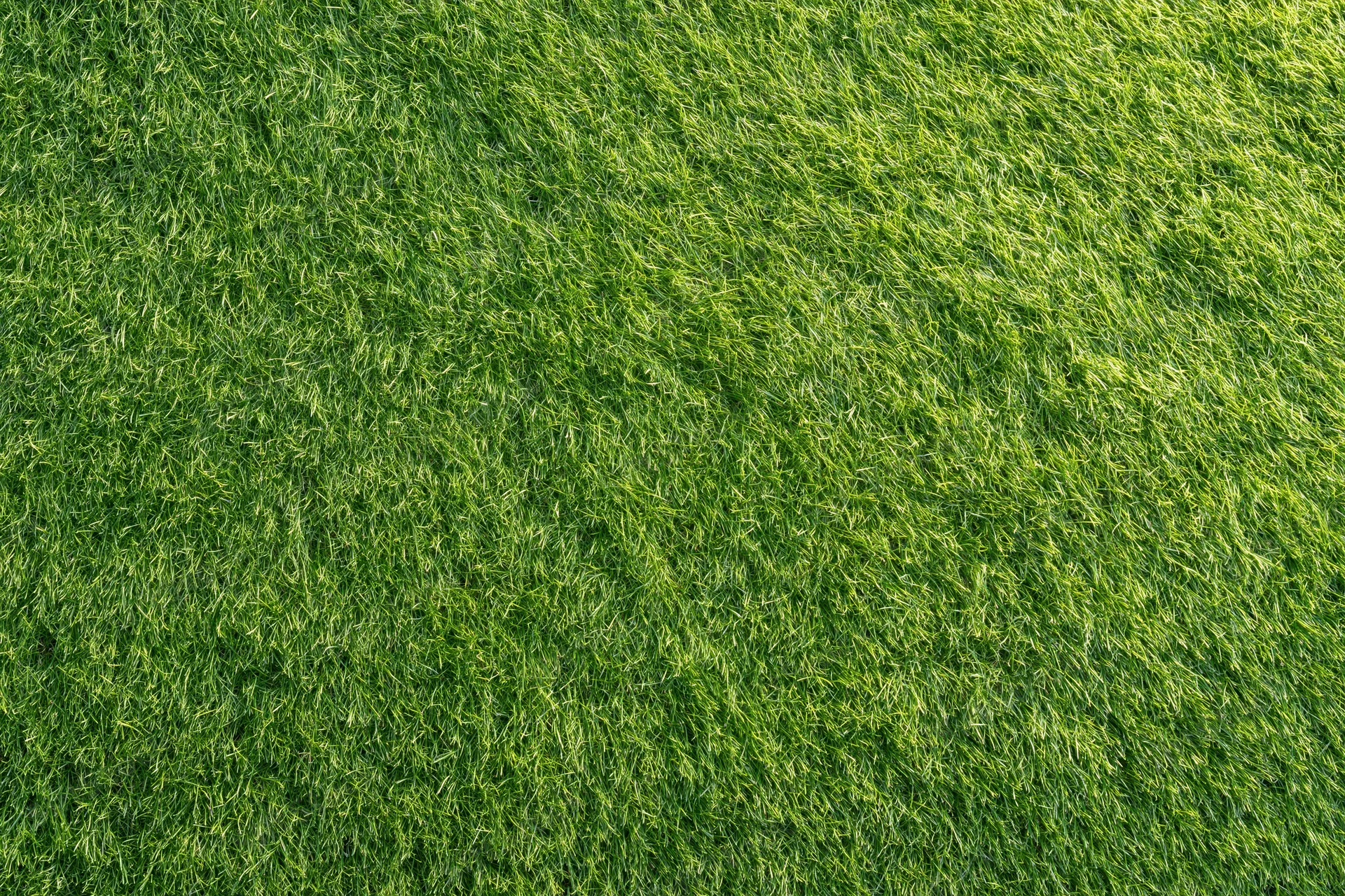Closely mown green grass lawn viewed from directly above, flat and uniform surface
