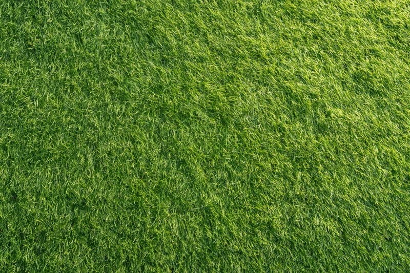 Closely mown green grass lawn viewed from directly above, flat and uniform surface