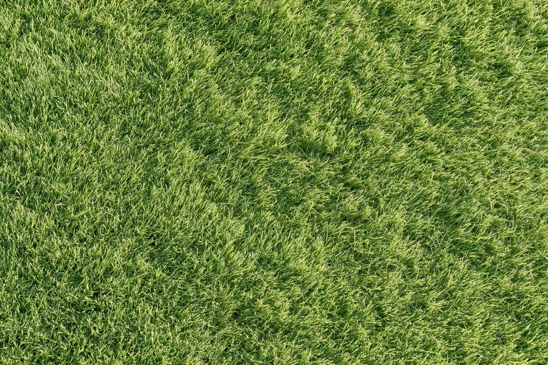 Closely mown green grass lawn viewed from directly above, flat and uniform surface
